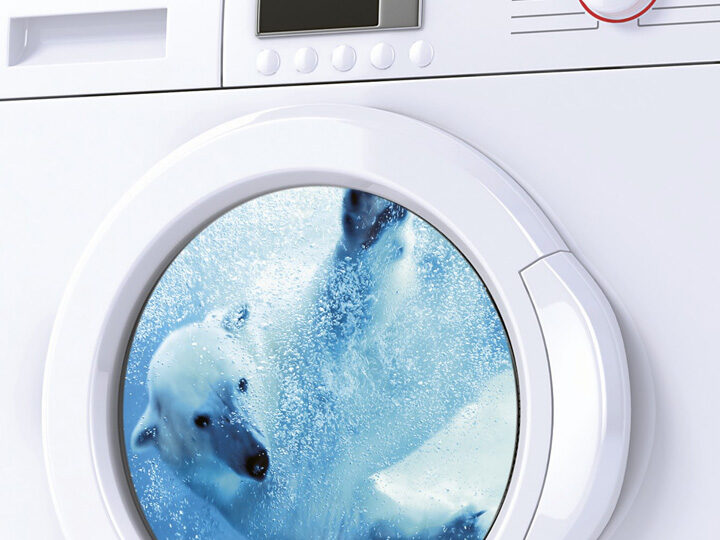 Eisbär in Waschmaschine