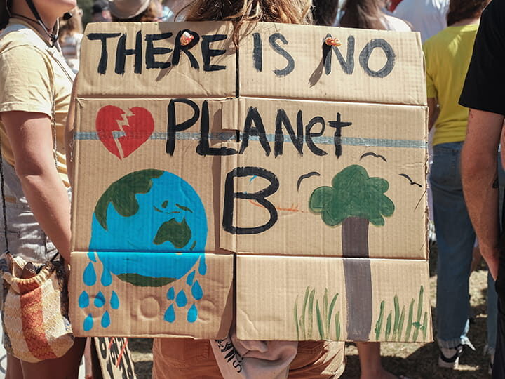 Demo-Plakat: There is no planet B