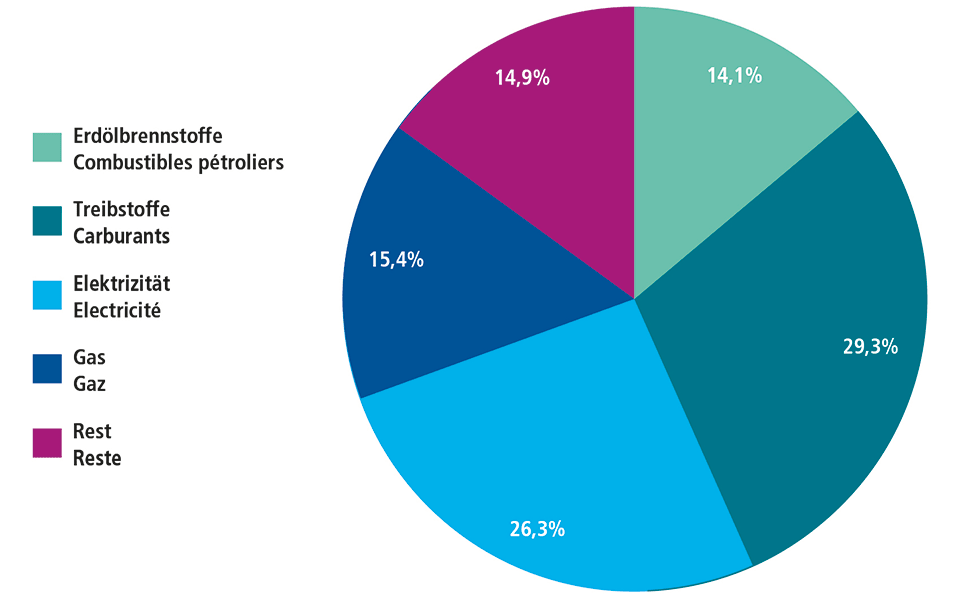 Kuchendiagramm zeigt die Verhältnisse. 29,3% Treibstoffe; 26,3% Elektrizität; 15,4% Gas; 14,1% Erdölbrennstoffe; 14,9% Rest
