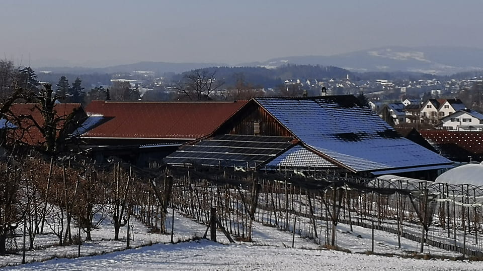 Landwirtschaftsgebäude hinter verschneiter Obsplantage
